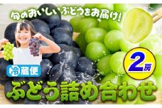 ぶどう 詰め合わせ 2房  青空市きらり 岡山県 矢掛町 葡萄 果物 スイーツ フルーツ デザート シャインマスカット 旬《9月上旬-11月上旬頃出荷》