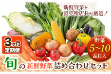 206.【3ヶ月定期便】旬の新鮮野菜詰め合わせセット 野菜5～10品目入 青空市きらり《お申込み月の翌月から出荷開始》岡山県 矢掛町 野菜 野菜詰め合わせ トマト きゅうり アスパラガス 玉ねぎ リーキ 送料無料