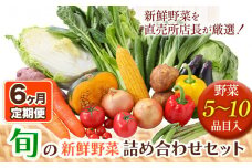 207.【6ヶ月定期便】旬の新鮮野菜詰め合わせセット 野菜5～10品目入 青空市きらり《お申込み月の翌月から出荷開始》岡山県 矢掛町 野菜 野菜詰め合わせ トマト きゅうり アスパラガス 玉ねぎ リーキ 送料無料