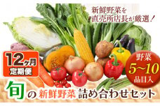 208.【12ヶ月定期便】旬の新鮮野菜詰め合わせセット 野菜5～10品目入 青空市きらり《お申込み月の翌月から出荷開始》岡山県 矢掛町 野菜 野菜詰め合わせ トマト きゅうり アスパラガス 玉ねぎ リーキ 送料無料