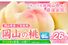 桃【2025年先行予約】桃 岡山県産 岡山の桃 約2.6kg  《2025年6月下旬-9月上旬頃出荷》 ご家庭用 訳あり 白桃 岡山 白桃 はくとう スイーツ フルーツ 果物 デザート 旬 岡山県 矢掛町 モモ もも 送料無料 清水白桃 白鳳 白麗