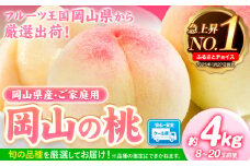 桃【2025年先行予約】桃 岡山県産 岡山の桃 約4kg 《2025年6月下旬-9月上旬頃出荷》 ご家庭用 訳あり 白桃 岡山 白桃 はくとう スイーツ フルーツ 果物 デザート 旬 岡山県 矢掛町 モモ もも 送料無料 清水白桃 白鳳 白麗