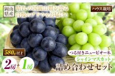 219.【先行予約】 岡山県産 つる付き！ニューピオーネ 2房 1房あたり580g & シャインマスカット 1房 580g セット ハウス栽培【配送不可地域あり】ニューピオーネ シャインマスカット《7月上旬-8月末頃に出荷予定(土日祝除く)》 岡山県 矢掛町 晴王 ぶどう 詰め合わせ 果物
