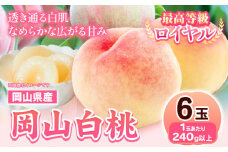 224. 【先行予約】岡山県産 岡山白桃  6玉 (240g以上)【配送不可地域あり】 《7月上旬-8月末頃に出荷予定(土日祝除く)》 岡山県 矢掛町 桃 もも 白桃 果物