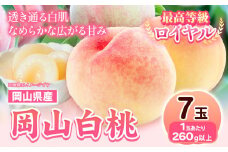 225.【先行予約】岡山県産 岡山白桃  7玉 (260g以上) 【配送不可地域あり】 《7月上旬-8月末頃に出荷予定(土日祝除く)》 岡山県 矢掛町 桃 もも 白桃 果物