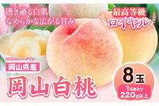 226.【先行予約】 岡山県産 岡山白桃  8玉 (220g以上) 【配送不可地域あり】 《7月上旬-8月末頃に出荷予定(土日祝除く)》 岡山県 矢掛町 桃 もも 白桃 果物