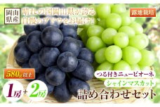 233.【先行予約】 岡山県産 つる付き！ニューピオーネ 1房 580g & シャインマスカット 2房 1房あたり580g セット 露地栽培【配送不可地域あり】ニューピオーネ シャインマスカット《9月上旬-10月末頃に出荷予定(土日祝除く)》 岡山県 矢掛町 晴王 ぶどう 詰め合わせ 果物