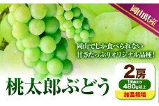 228.【先行予約】 岡山県産 桃太郎ぶどう  2房 (480g以上) 加温栽培【配送不可地域あり】 《7月上旬-8月末頃に出荷予定(土日祝除く)》 岡山県 矢掛町 ぶどう 葡萄 果物