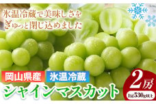 239.【2025年出荷先行予約】岡山県産 冷蔵 シャインマスカット 2房 (530g以上) 【配送不可地域あり】 《11月中旬-12月末頃に出荷予定(土日祝除く)》 岡山県 矢掛町 マスカット ぶどう 葡萄 氷温冷蔵 果物 フルーツ