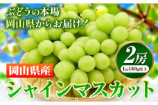  254.【先行予約】 岡山県産 シャインマスカット 2房 (480g以上) 【配送不可地域あり】 《7月上旬-8月下旬頃に出荷予定(土日祝除く)》 岡山県 矢掛町 マスカット ぶどう 葡萄 果物 フルーツ