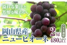 255.【先行予約】 岡山県産 ニューピオーネ 2房 480g以上 ハウス栽培 葡萄 果物 厳選出荷 スイーツ フルーツ デザート 岡山県矢掛町《7月上旬-8月下旬に出荷予定(土日祝除く)》 種なしぶどう 【配送不可地域あり】