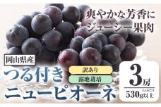  258.【先行予約】 岡山県産 訳ありつる付きニューピオーネ 3房 530g以上 葡萄 果物 厳選出荷 スイーツ フルーツ デザート 岡山県矢掛町《9月上旬-10月末頃に出荷予定(土日祝除く)》 種なしぶどう【配送不可地域あり】