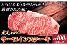 246.A5等級 黒毛和牛 サーロインステーキ 約400g【配送不可地域あり】《30日以内に出荷予定(土日祝除く)》 岡山県 矢掛町 ステーキ サーロイン