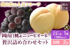250.【先行予約】 岡山白桃 & ニューピオーネセット【配送不可地域あり】白桃 ロイヤル260g以上 ニューピオーネ 1房 （580g以上）《7月上旬-8月末頃に出荷予定(土日祝除く)》 岡山県 矢掛町 桃 白桃 もも 岡山白桃 ニューピオーネ ぶどう 詰め合わせ 果物