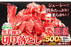 牛肉 黒毛和牛 切り落とし 500g 《30日以内に出荷予定(土日祝除く)》 岡山県 矢掛町 牛 牛肉 和牛 牛丼 カレー 小分け 小分けパック 250g 送料無料 一万 一万円 10000円