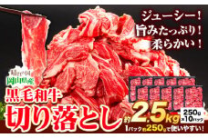 牛肉 黒毛和牛 切り落とし 2.5kg 《30日以内に出荷予定(土日祝除く)》 岡山県 矢掛町 牛 牛肉 和牛 牛丼 カレー 小分け 小分けパック 250g 送料無料