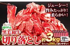 牛肉 黒毛和牛 切り落とし 3kg 《30日以内に出荷予定(土日祝除く)》 岡山県 矢掛町 牛 牛肉 和牛 牛丼 カレー 小分け 小分けパック 250g 送料無料