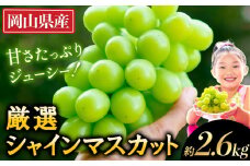 シャインマスカット【2025年出荷先行予約】厳選 シャインマスカット 約2.6kg《2025年9月上旬-11月中旬頃に出荷予定》