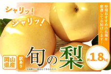 訳あり 岡山県産 旬の梨 約1.8kg 2~5玉前後 梨 訳あり 優品 新高 愛宕 王秋梨 鴨梨 スイーツ フルーツ デザート 旬 岡山県矢掛町《9月上旬-1月末頃に出荷予定》数量限定
