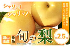 岡山県産 旬の 梨 約2.5kg 2~6玉前後 梨 秀品 新高 愛宕 スイーツ フルーツ デザート 旬 岡山県矢掛町《9月上旬-1月末頃に出荷予定》