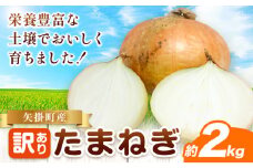 玉ねぎ 矢掛町産 訳あり 玉ねぎ 約2kg《5月末～7月中旬頃に出荷予定》 約 2kg 野菜 岡山県 矢掛町 五千円以下 たまねぎ 大きさ不揃い 訳ありたまねぎ
