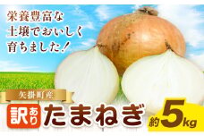 玉ねぎ 矢掛町産 訳あり 玉ねぎ 約5kg 《5月末～7月中旬頃に出荷予定》 約 5kg 野菜 岡山県 矢掛町 たまねぎ 大きさ不揃い 訳ありたまねぎ