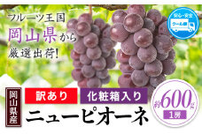 【先行予約】岡山県産 ニューピオーネ 約600g 1房 葡萄 果物 秋旬 訳あり 優品 厳選出荷 スイーツ フルーツ デザート 岡山県矢掛町《2025年9月上旬～11月上旬頃に出荷予定(土日祝除く)》数量限定