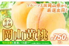 桃 【先行予約】 岡山県産 岡山黄桃 約750g《2025年8月下旬-9月下旬頃出荷》 黄桃 フルーツ 果物 先行予約 数量限定 岡山 矢掛町 桃 モモ もも 送料無料 黄金桃 お取り寄せ