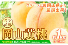 桃 【先行予約】 岡山県産 岡山黄桃 約1kg《2025年8月下旬-9月下旬頃出荷》 黄桃 フルーツ 果物 先行予約 数量限定 岡山 矢掛町 桃 モモ もも 送料無料 黄金桃 お取り寄せ