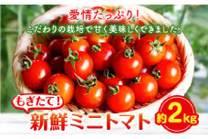 ミニトマト 約2kg 出原農園 《1月上旬-5月末頃出荷》 岡山県 矢掛町 野菜 ミニトマト もぎたて 新鮮 st-p