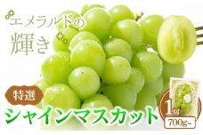 特選 シャインマスカット 1房 700g~ ぶどう マスカット フルーツ 果物 岡山県産 中嶋ぶどう園 ブドウ シャイン《9月上旬-10月下旬頃出荷》岡山県 矢掛町 送料無料 お取り寄せフルーツ