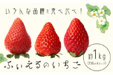 いちご 章姫 晴苺 紅ほっぺ 約1kg(約250g×4P) ふぃえる《1月上旬～4月中旬頃出荷予定》岡山県 矢掛町産 苺 果物 フルーツ ふぃえる