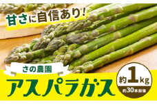 アスパラガス 約 1kg 約 30本 M-2L 野菜 さの農園 岡山県産《4月上旬-10月中旬頃出荷》サラダ アスパラ アスパラベーコン 岡山県 矢掛町