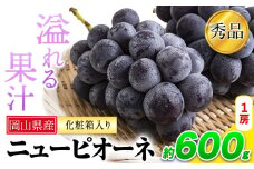 岡山県産 ニューピオーネ 約600g 1房 葡萄 果物 秀品 スイーツ フルーツ デザート 秋旬 岡山県矢掛町《9月中旬～11月上旬頃に出荷予定(土日祝除く)》