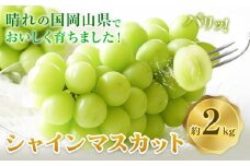 岡山県産 シャインマスカット 約2kg 矢掛Grape Fairies《9月中旬-10月末頃出荷》岡山県 矢掛町 葡萄 マスカット 果物 スイーツ フルーツ デザート