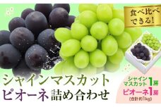 【2026年発送先行予約】シャインマスカット・ピオーネ詰め合わせ 約1.0kg マスカット 葡萄 ブドウ ぶどう ピオーネ フルーツ セット 晴れの国おかやま館 《2026年8月下旬-9月中旬頃出荷》 フルーツ 果物 果実 岡山県 矢掛町
