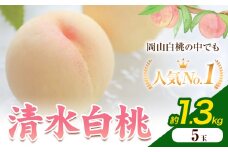 【2026年発送先行予約】清水白桃 5玉 1.3kg 内容量 晴れの国おかやま館《2026年7月下旬-8月上旬頃出荷》 白桃 フルーツ 果物 岡山県 矢掛町 桃 モモ もも 送料無料