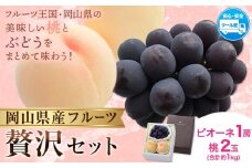 【2026年発送先行予約】桃・ピオーネ詰め合わせ 約1kg クール便 冷蔵便 桃 もも 葡萄 ブドウ ぶどう ピオーネ フルーツ セット 晴れの国おかやま館 《2026年8月下旬-9月中旬頃出荷》 フルーツ 果物 果実 岡山県 矢掛町
