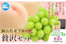 【2026年発送先行予約】桃・シャインマスカット詰め合わせ 約1kg クール便 冷蔵便 桃 もも 葡萄 ブドウ ぶどうシャインマスカット マスカット フルーツ セット 先行予約 晴れの国おかやま館 《2026年8月下旬-9月中旬頃出荷》 フルーツ 果物 果実 岡山県 矢掛町