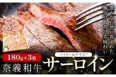 奈義和牛 サーロイン バイヤーおすすめ！ 180g × 3枚 株式会社 天満屋《30日以内に出荷予定(土日祝除く)》岡山県 矢掛町 和牛 牛肉 肉 ステーキ 自宅用 贈答用 送料無料