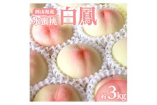 岡山県産「白鳳(水蜜桃)」約3kg|7月上旬頃～順次発送【1488991】