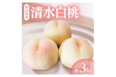 岡山県産「清水白桃」約3kg|7月中旬頃～順次発送【1488992】