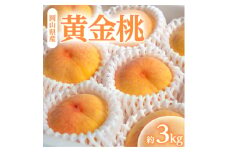 岡山県産「黄金桃」約3kg|8月下旬頃～発送予定【1488995】