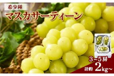 2126.マスカサーティーン 3～5房(約2kg～)【1488987】