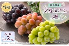 1061.＜先行受付＞特選大粒ぶどう3種セット(シャインマスカット入り)10月初旬～12月発送予定【1488997】