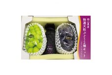 1063.＜先行受付＞特選大粒ぶどう2種とピオーネシロップセット(10月初旬～12月発送予定)【1488999】