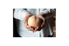 岡山県産「おかやま夢白桃」約2kg|2025年7月下旬以降順次発送予定【1516922】