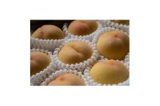 岡山県産「清水白桃」約2kg|2025年7月下旬以降順次発送予定【1516927】