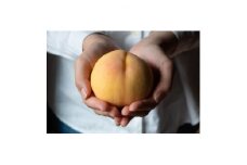 岡山県産「清水白桃」約1kg|2025年7月下旬以降順次発送予定【1516926】
