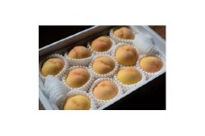 岡山県産「清水白桃」約3kg|2025年7月下旬以降順次発送予定【1516928】